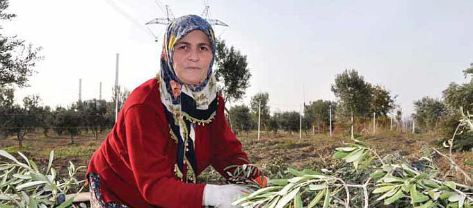 2015 yılında Dünya ve Türkiye Ekonomisi 2015 yılında Dünya ve Türkiye Ekonomisi